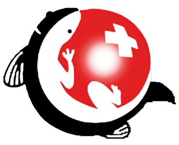 SDAT logo - něm.část Švýcarska.jpg