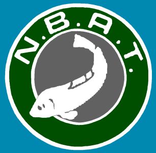 N.B.A.T logo.jpg