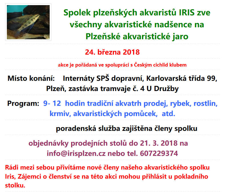 Plzakvjaro2018-JPG.jpg