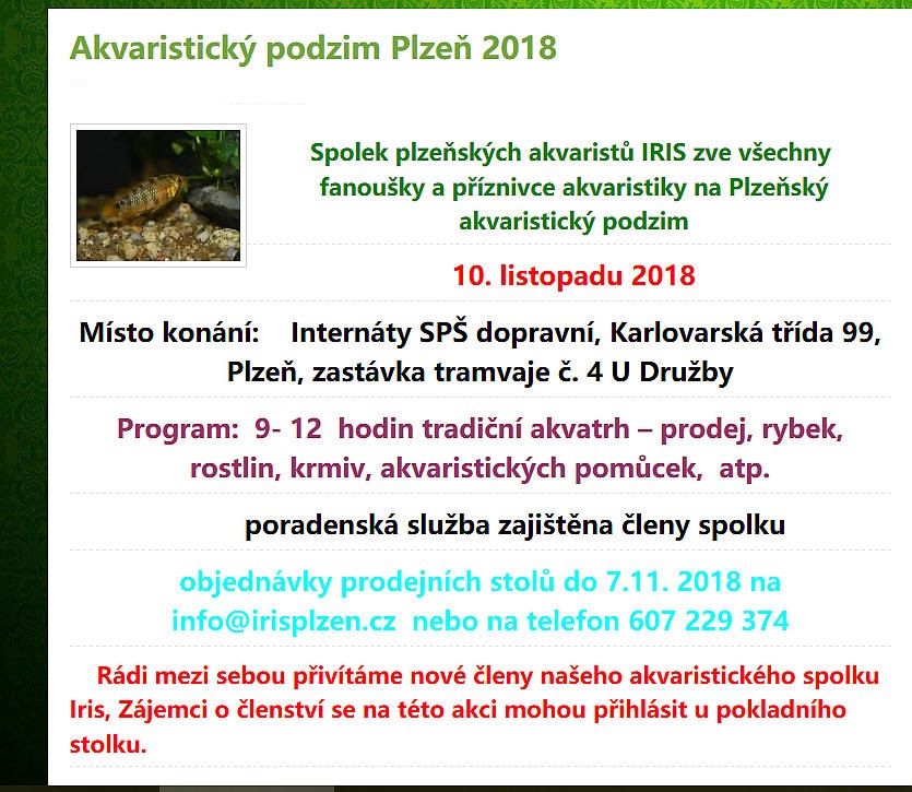 Akv.podzim, Plzeň 2018.jpg