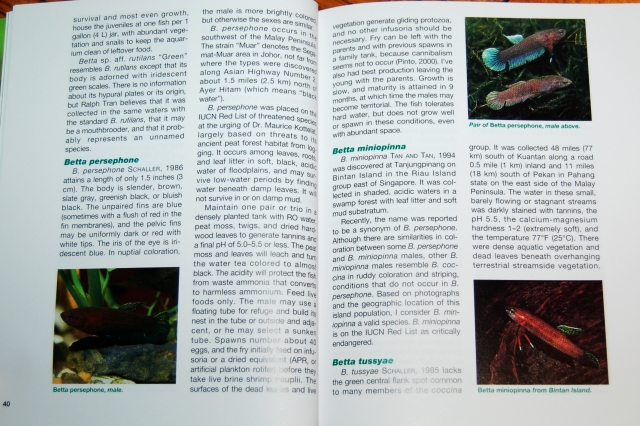 Betta handbook 05.JPG