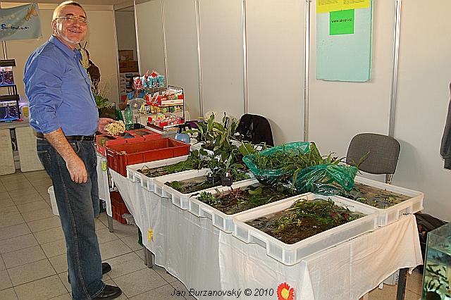 EXOTICA 2010 -LYSÁ 09.JPG