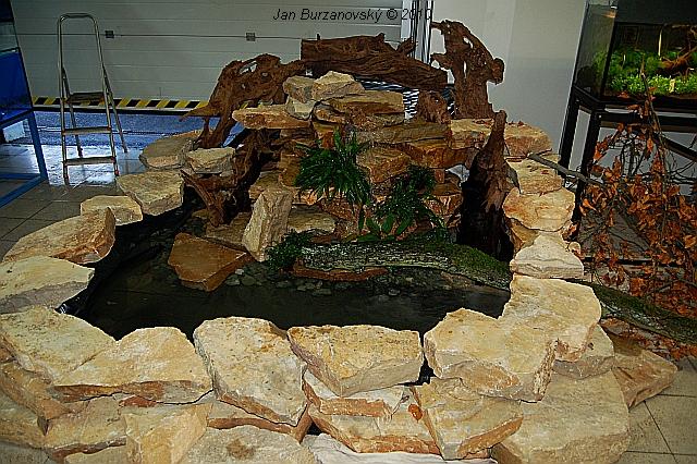EXOTICA 2010 -LYSÁ 69.JPG